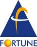 Fortune Metals Ltd 