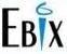 Ebix software Asia Sez Pvt Ltd 