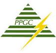 PPN Power Generating Company Pvt Ltd