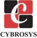 Cybrosys Techno Solutions Pvt Ltd