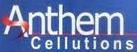 Anthem Cellutions India Ltd