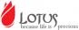 Lotus Surgicals Pvt Ltd