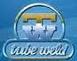 Tube Weld India Ltd 