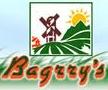 Bagrrys India Ltd 
