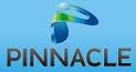 Pinnacle Teleservices Pvt Ltd 