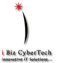 IBiz Cybertech Pvt Ltd 