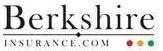 Berkshire India Ltd 