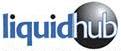 Liquidhub India Pvt Ltd 