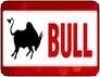 Bull Machines Pvt Ltd 