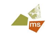 MS Consultants 
