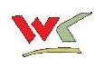 Wizkid Consultancy & Financial Services 