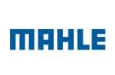 MAHLE Filter System India Ltd 