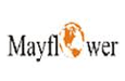 Mayflower Language Services Pvt Ltd 