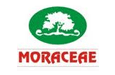 Moraceae Pharmaceuticals Pvt Ltd 