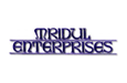 Mridul Enterprises 