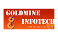 Goldmine Infotech Pvt Ltd 