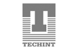 Techint India Pvt Ltd 