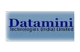 Datamini Technologies India Ltd