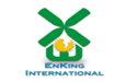 EKI Energy Services Ltd 
