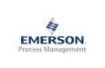 Emerson Process Management India Pvt Ltd 