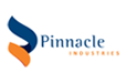Pinnacle Industries Ltd