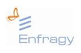 Enfragy Solutions India Pvt Ltd 