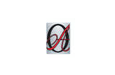 Oriental Aromatics Ltd