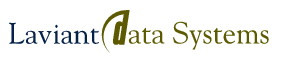 Laviant Data Systems Pvt Ltd
