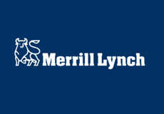 Merrill Lynch & Co, Inc