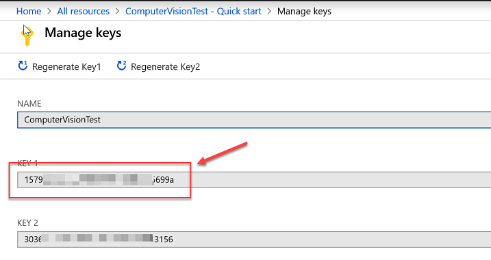 Computer Vision API keys