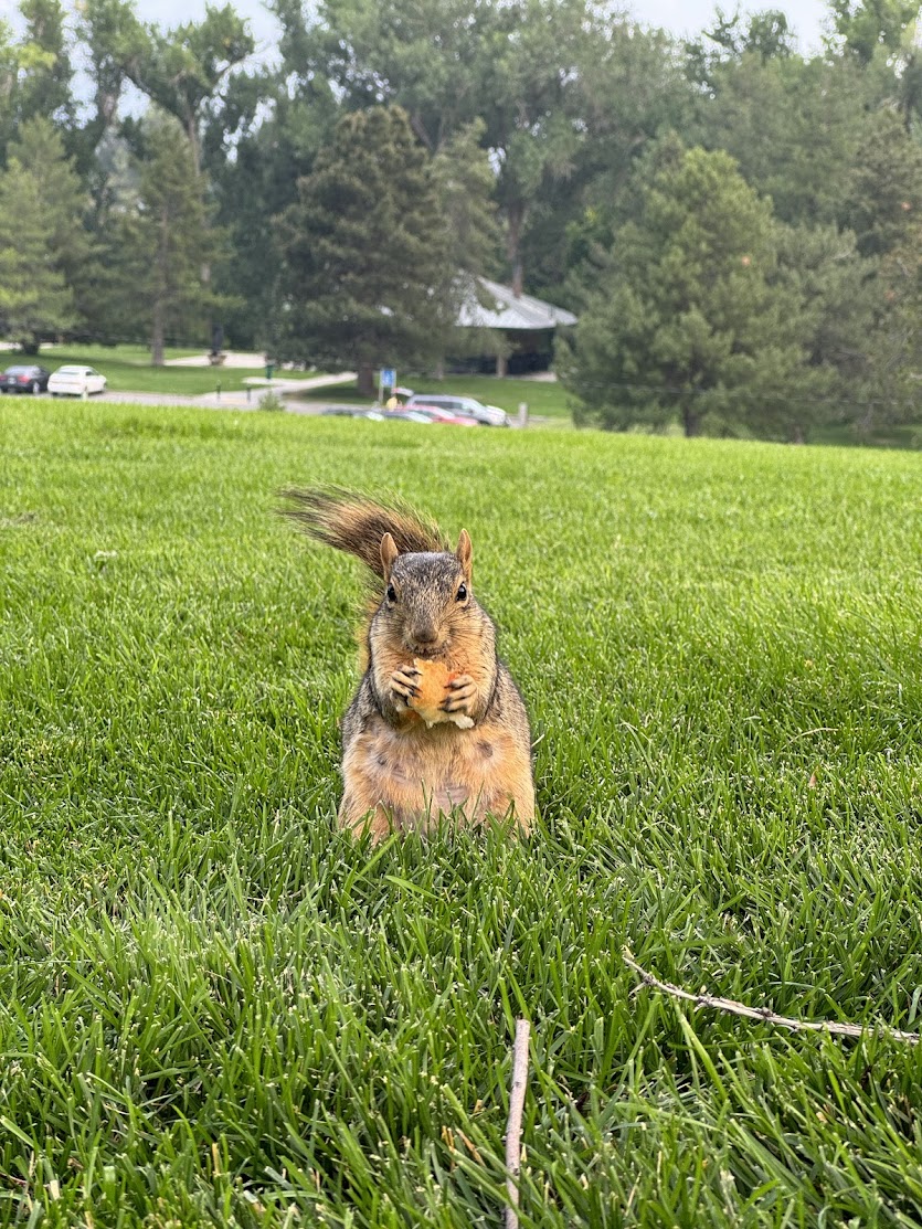 Sugarhouse Park