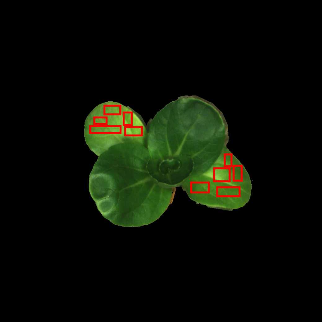 SpecPipe SpecExp RGB preview 1