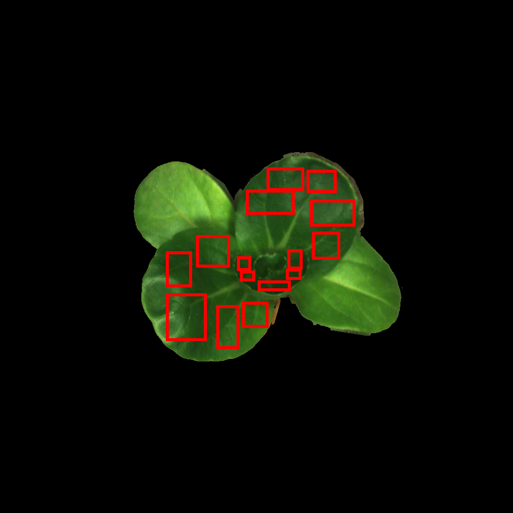 SpecPipe SpecExp RGB preview 2