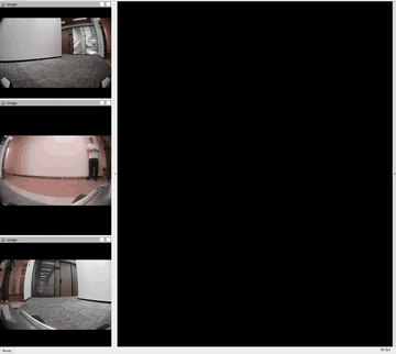 UFO multi-camera LVIO on D360 (360° vision + LiDAR)