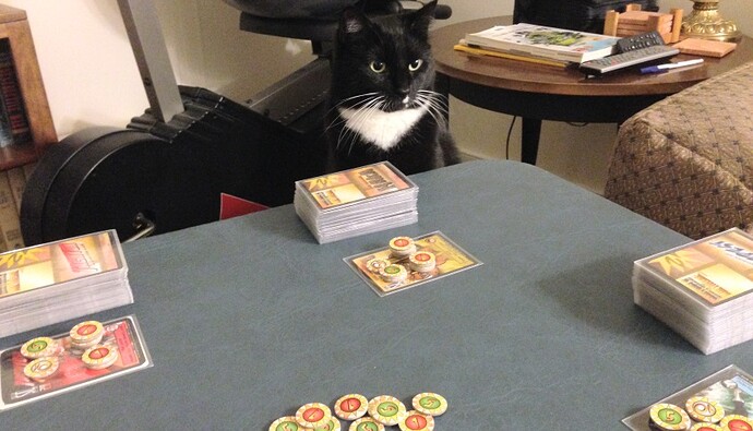 SotM Cat.jpg