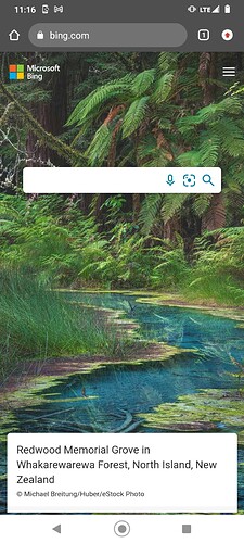 Screenshot_20211017-111638