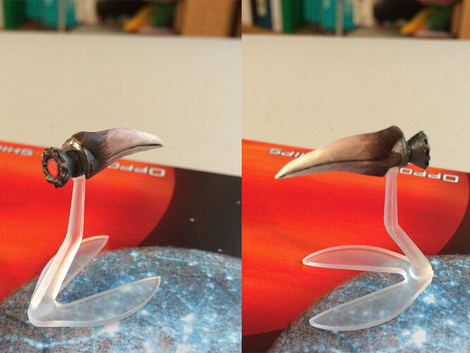 claw.jpg