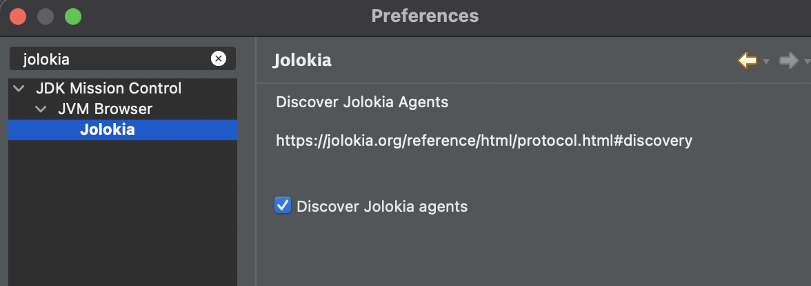 Settings to discover Jolokia!