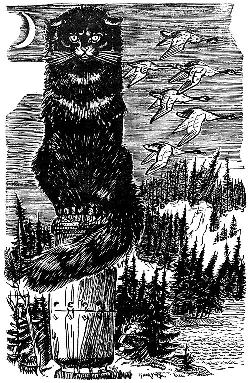 cat-baiun