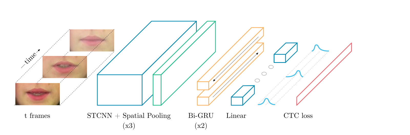 net_structure