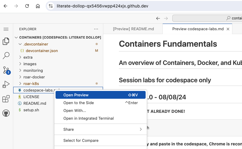 Labs doc preview in codespace