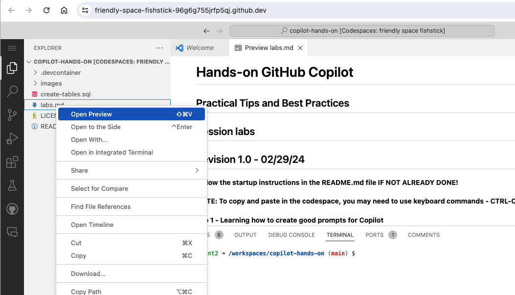 Labs doc preview in codespace