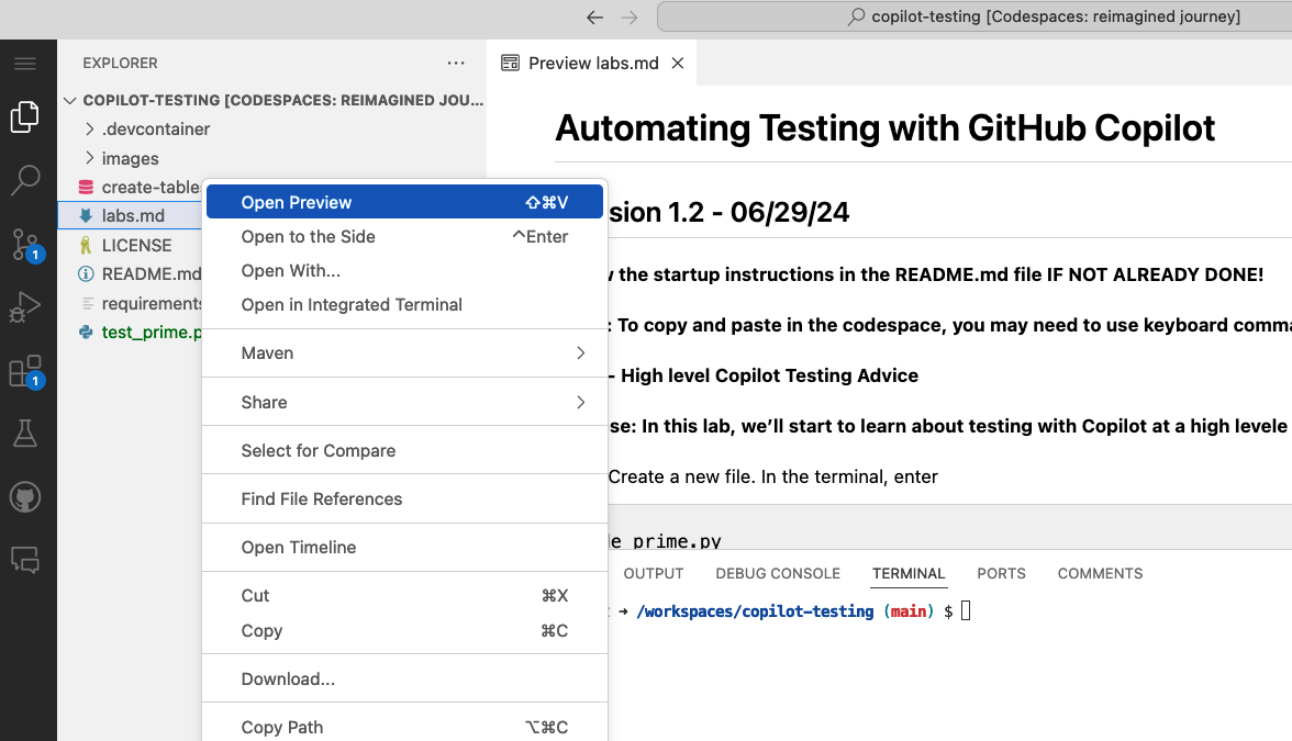 Labs doc preview in codespace