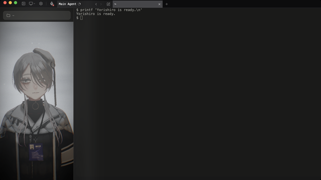 Terminal view mode