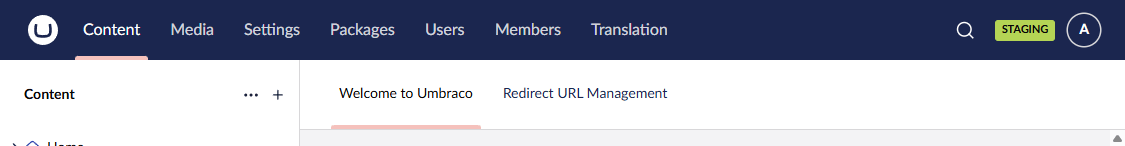Environment Indicator in header