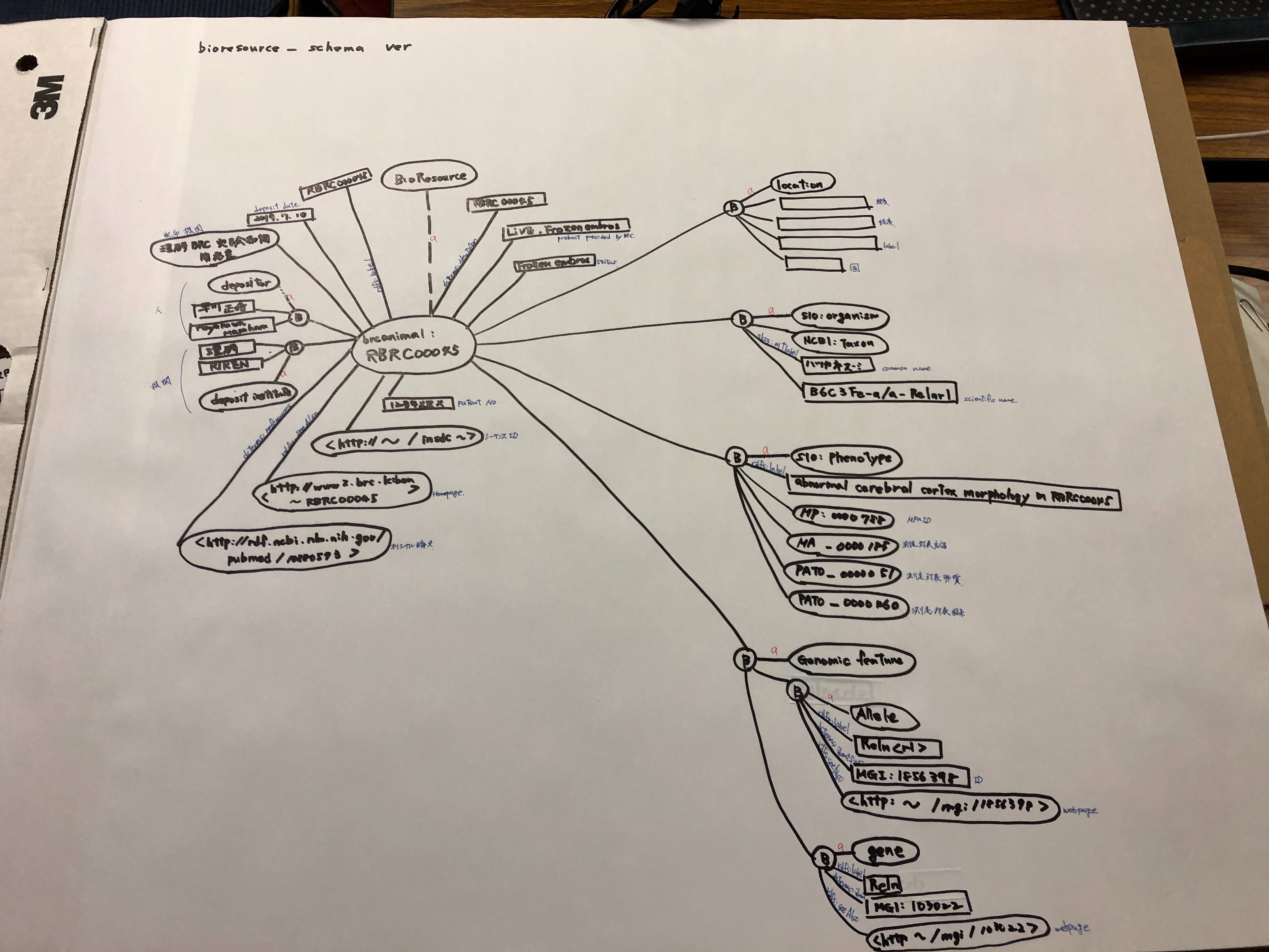 RDF data model