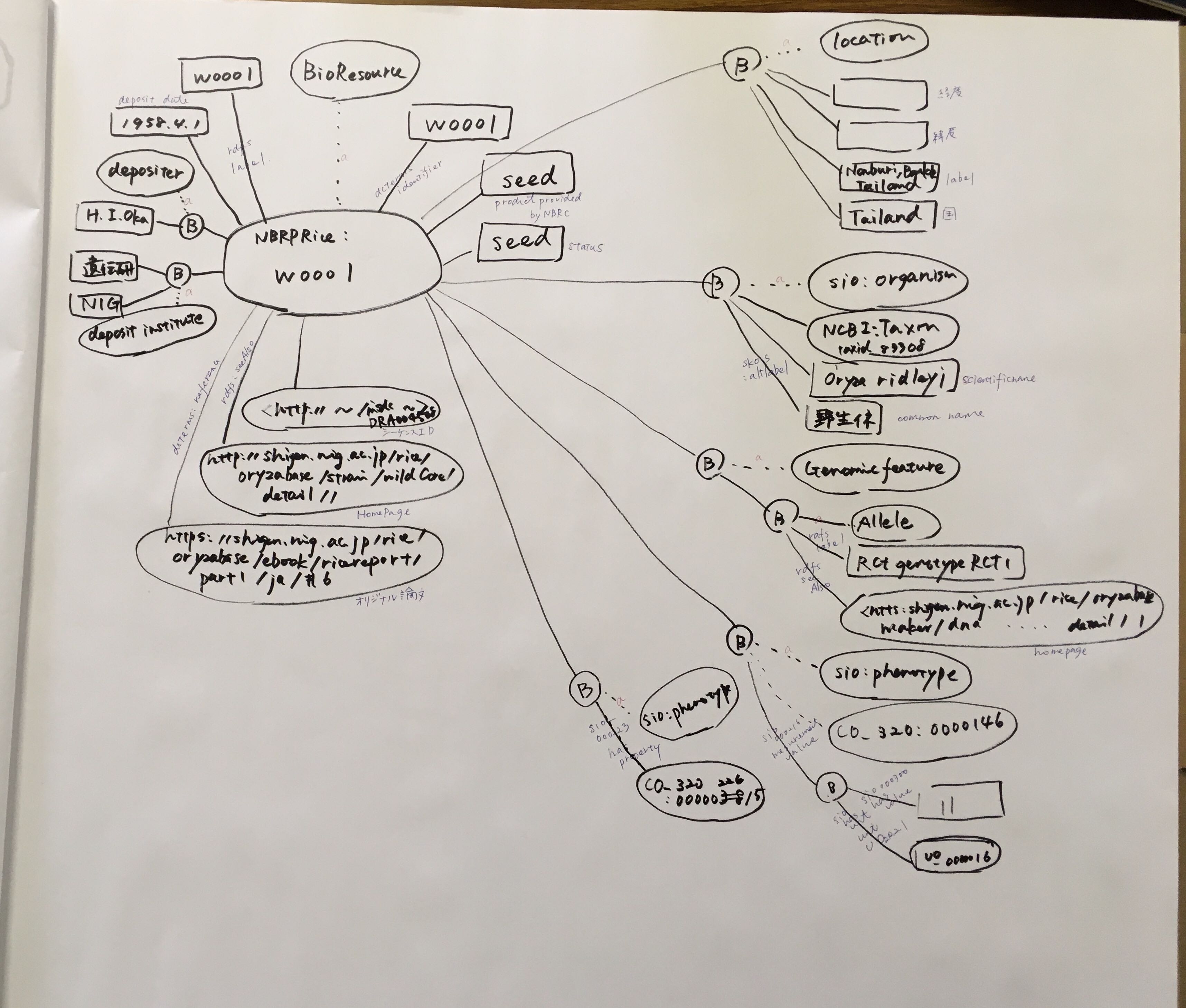 RDF data model