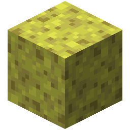 Enchanted Sponge
