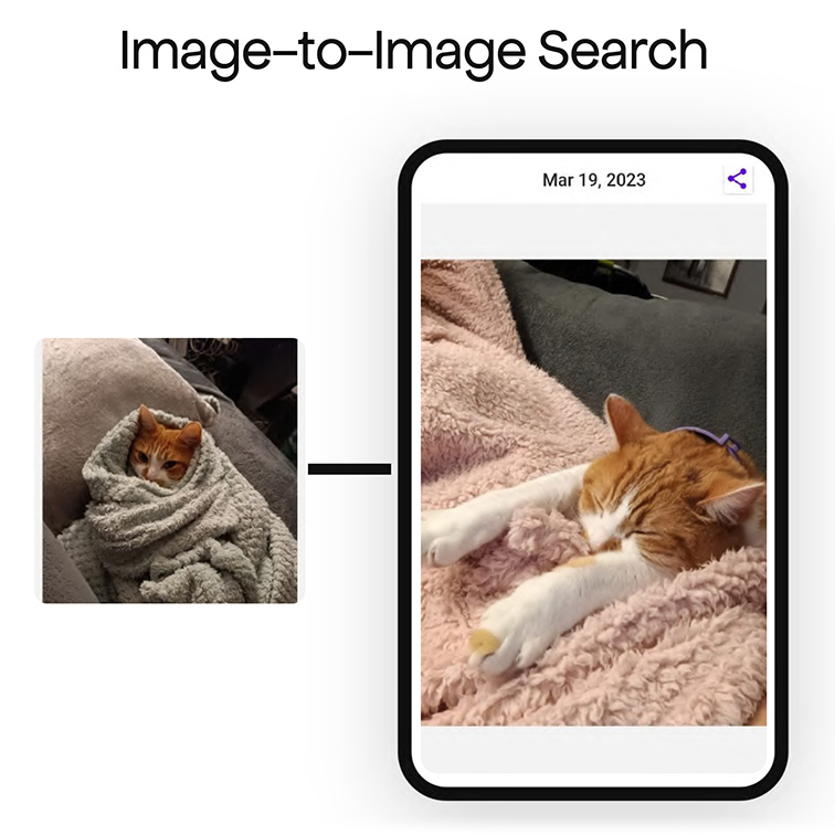 Image-to-Image Search