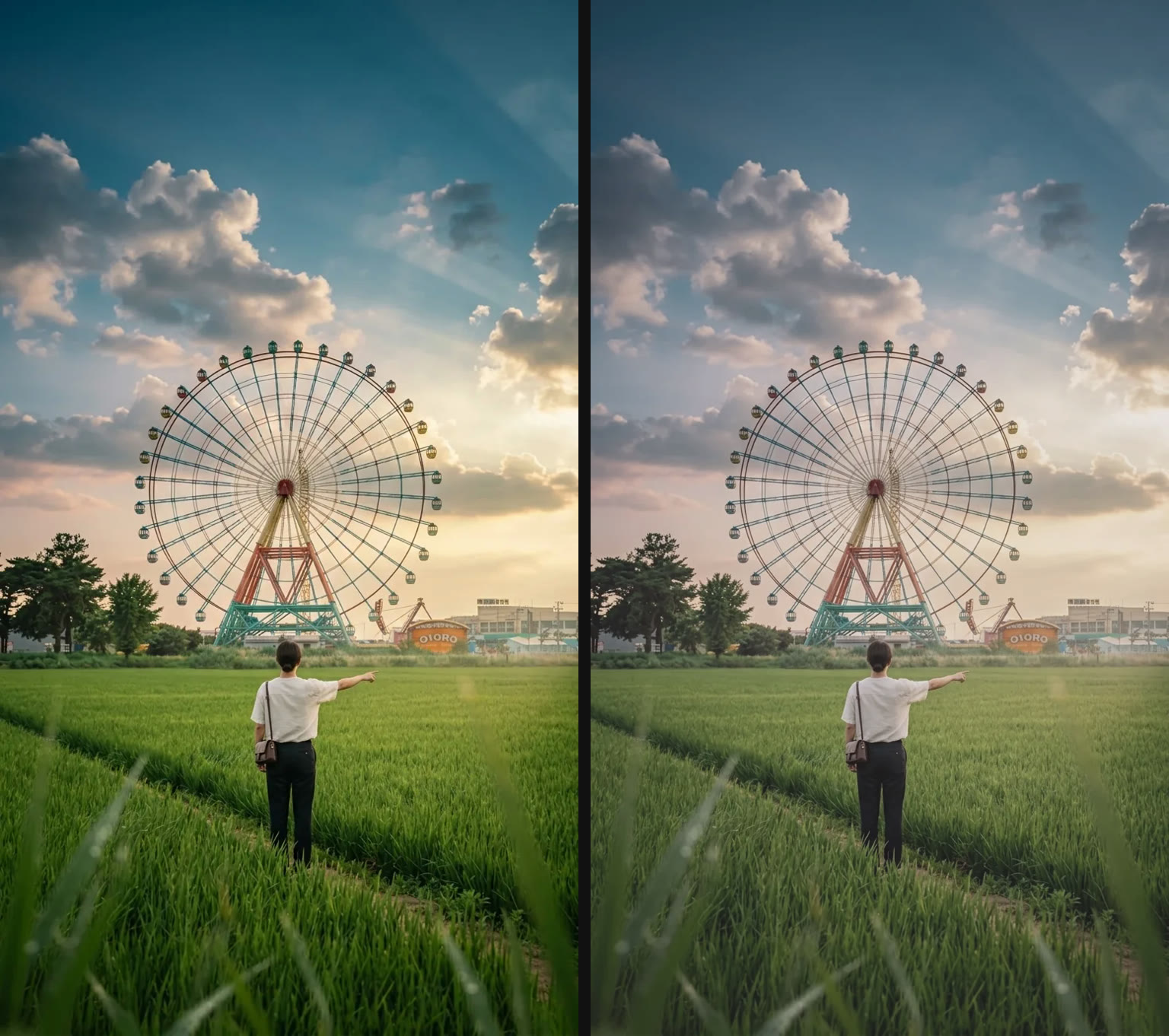 Original photo next to the same photo graded with slay Fade